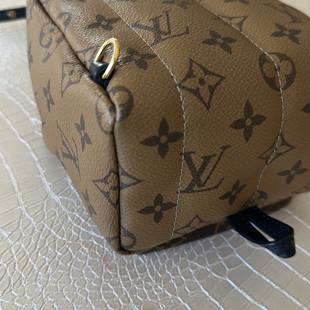 Louis Vuitton Palm Springs Mini Reverse Limited Edition Backpack 💯AUTHENTIC - Picture 5 of 16